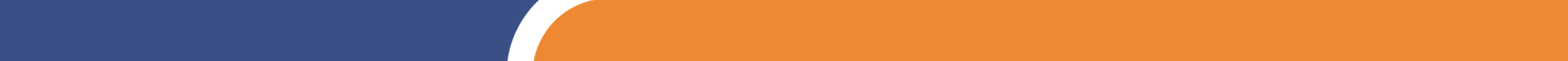 Section Divider